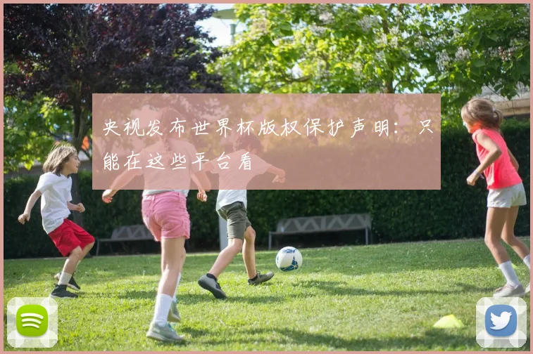 央视发布世界杯版权保护声明：只能在这些平台看